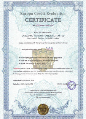 China Cangzhou Hangxin Flange Co.,Limited zertifizierungen